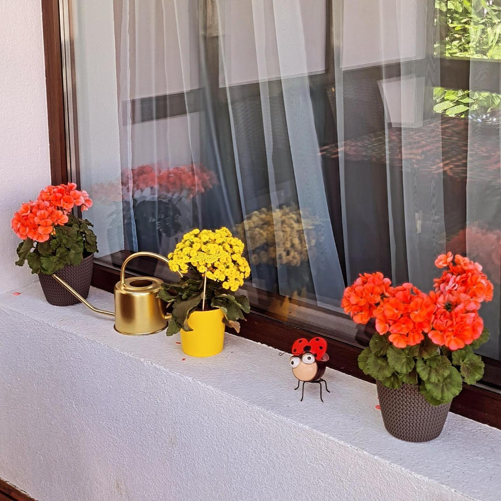Villa Casa Ama Buşteni Exterior foto